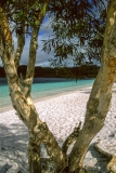 Lake McKenzie