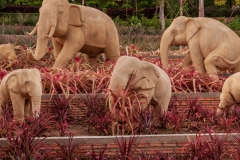 Royal Flora Ratchaphruek
