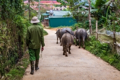 Heading home, Ta Van village