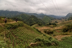 Muong Hoa Valley