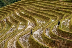 Hmong hunters, Muong Hoa Valley
