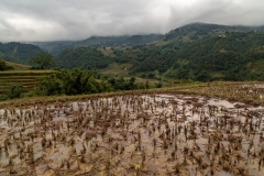 Muong Hoa Valley