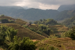 Sunlight and rice terraces, Muong Hoa Valley