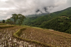 Landscape near Giang Ta Chai Village