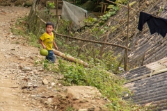 Child and pomelo, Hoan Lien Son