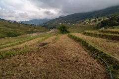 Landscape near Giang Ta Chai Village