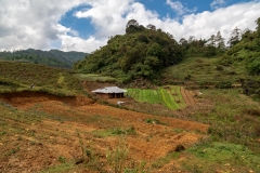 Mountain farm