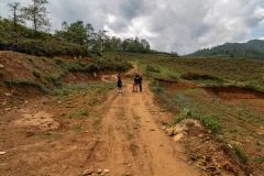Trekking near Hau Thao