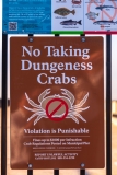 Municipal Pier sign