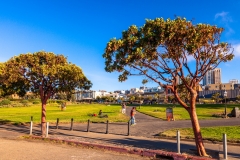 Victorian Park