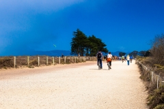 Marine Drive
