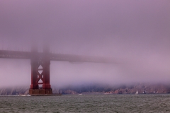 Lost in the fog