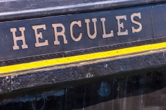 Hercules