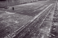 Exercise Yard