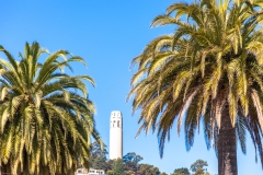 Coit Tower