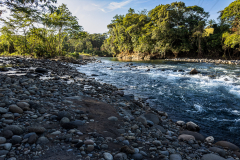 Sarapiqui River