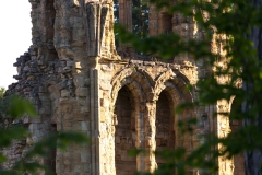 Wenlock Priory