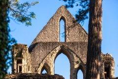 Wenlock Priory