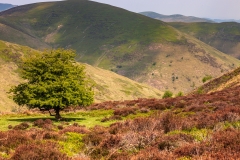 Shropshire Hills