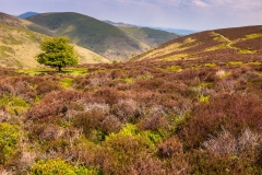 Shropshire Hills