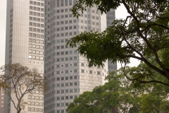 Financial District