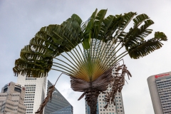 Raffles Landing Place