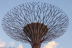Gardens by the Bay