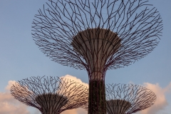 Gardens by the Bay