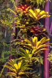 Gardens by the Bay