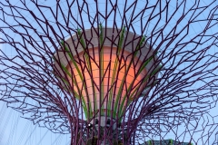 Gardens by the Bay