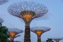 Gardens by the Bay