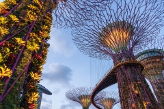 Gardens by the Bay