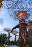 Gardens by the Bay