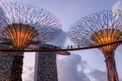 Gardens by the Bay