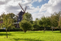 Windmill in Slottsparken