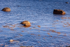 Baltic sea at Kivik