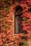 Autumn colour, Lund