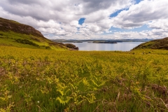 Brandarsaig Bay