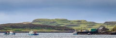 Dunvegan harbour