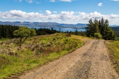 Waternish Forest
