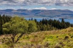 Waternish Forest