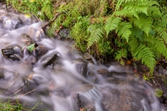 Rapids on the Afon Glaslyn