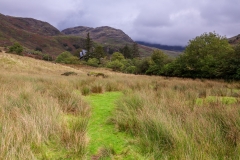 View to Moel Berfedd