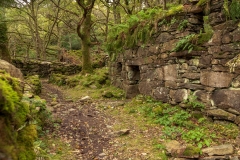 Ruined dwelling
