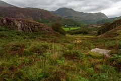 Looking north up Nantgwynant