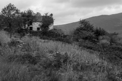 Hafod Owen