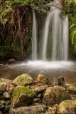 Stream in the Nanmor Valley