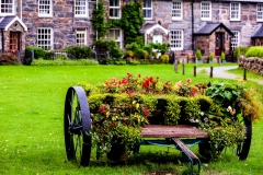 Flower cart, Beddgelert