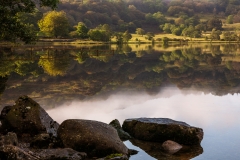 Llyn Gwynant