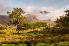 View to Moel Berfedd